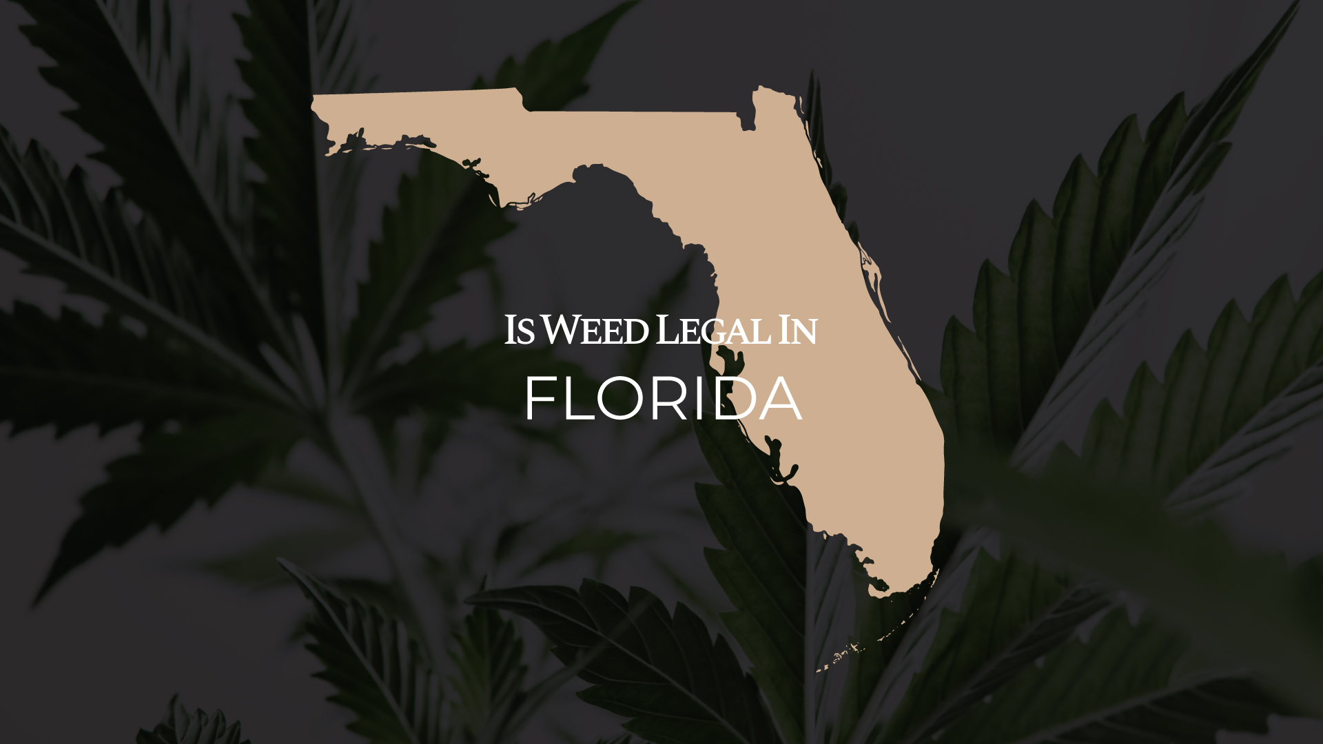 Ultimate Guide: Is Weed Legal in Florida | IWLI