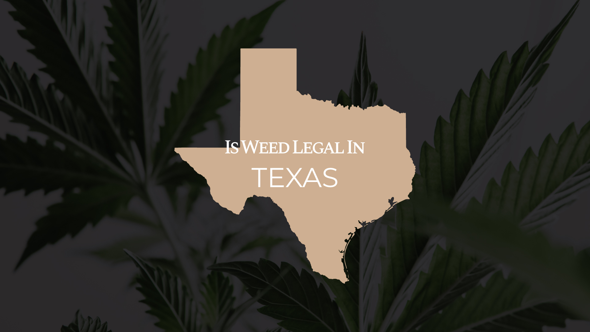 Ultimate Guide: Is Weed Legal in Texas | IWLI