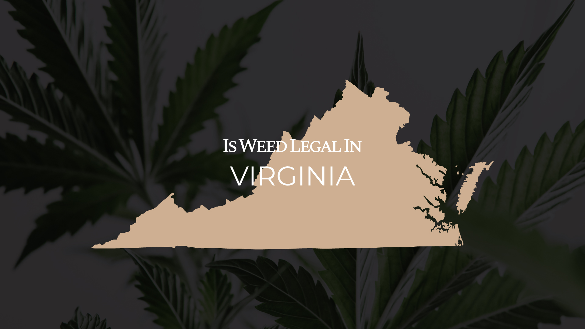 Is Weed Legal In Virginia Full Guide IWLI