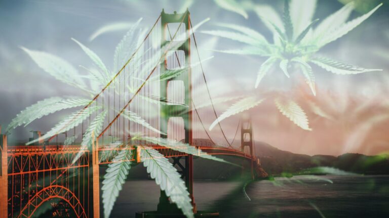 interstate commerce for cannabis