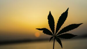 Delaware Expands Medical Marijuana Program
