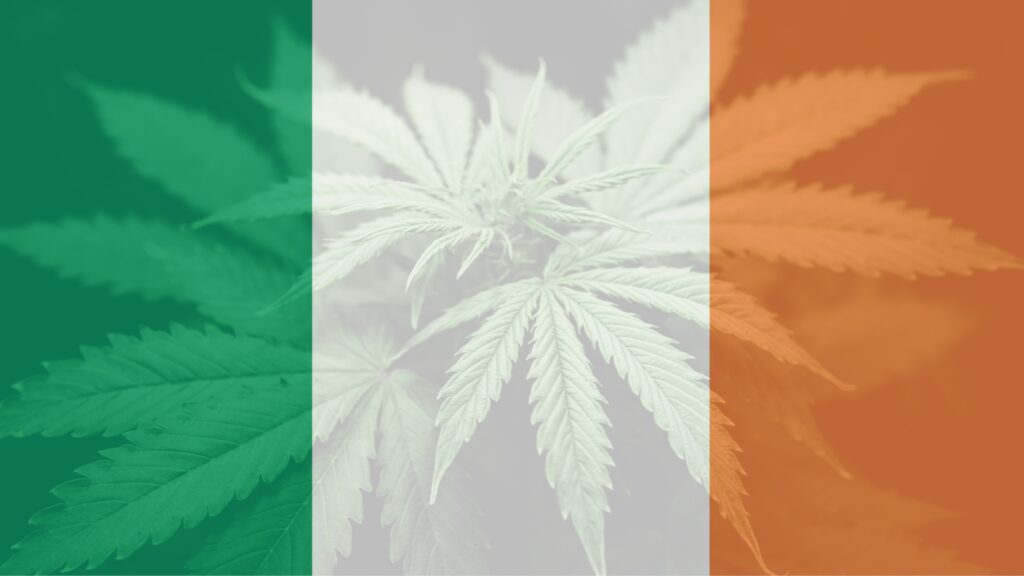 ireland plans to legalize recreational cannabis