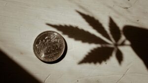 Cannabis Taxation