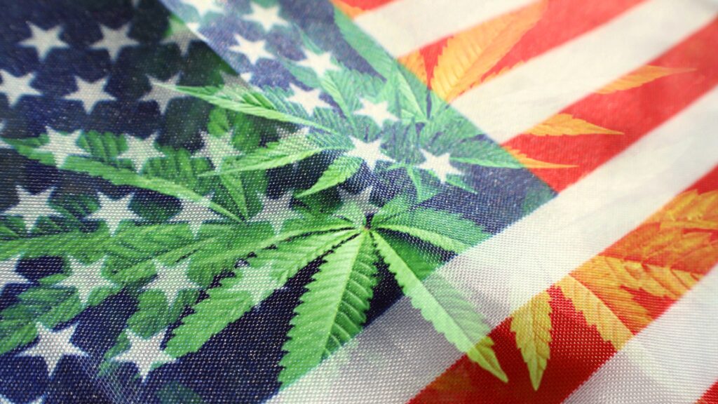 states voted on legal weed