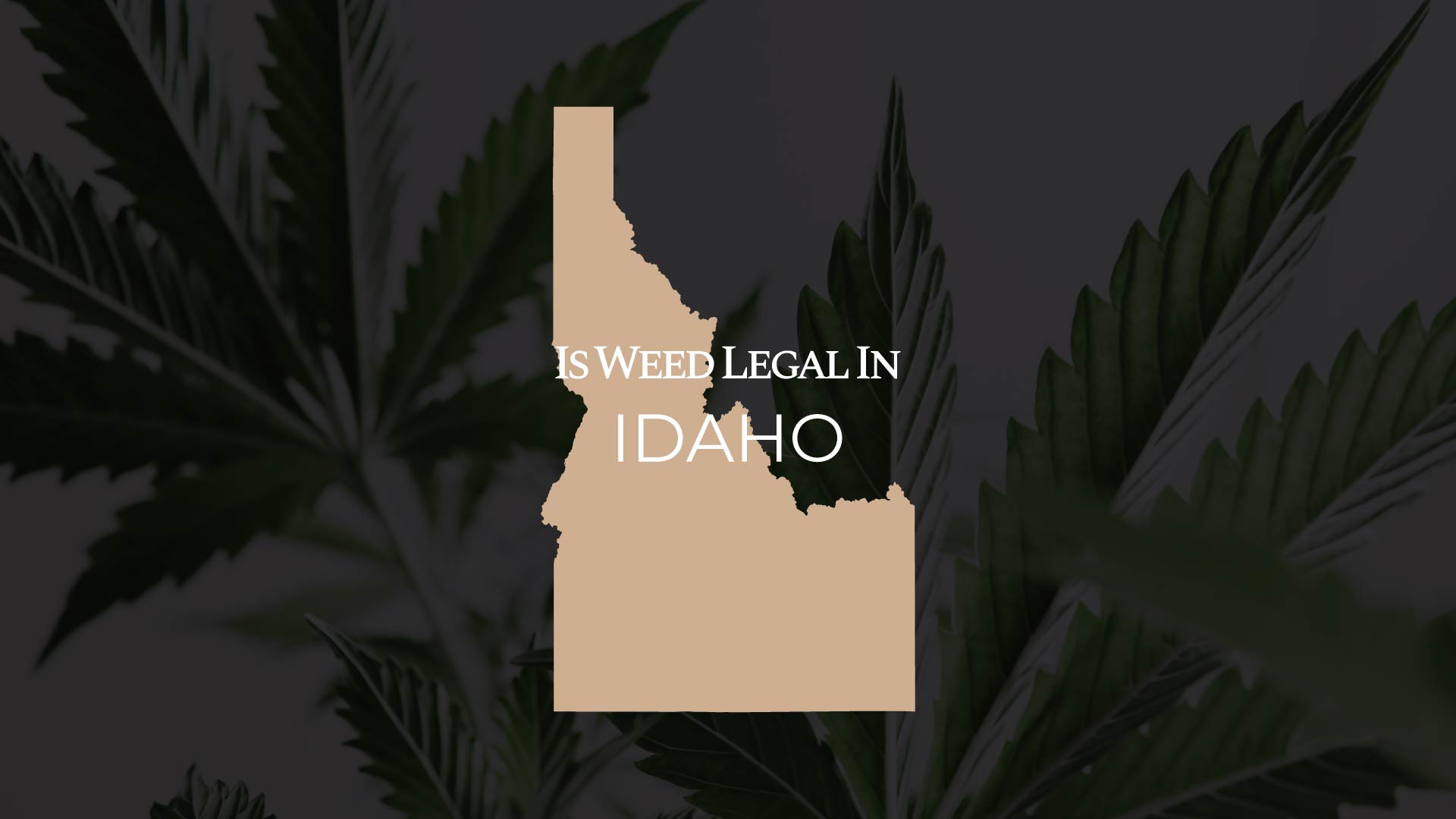 Is Weed Legal In Idaho: Full Guide | IWLI