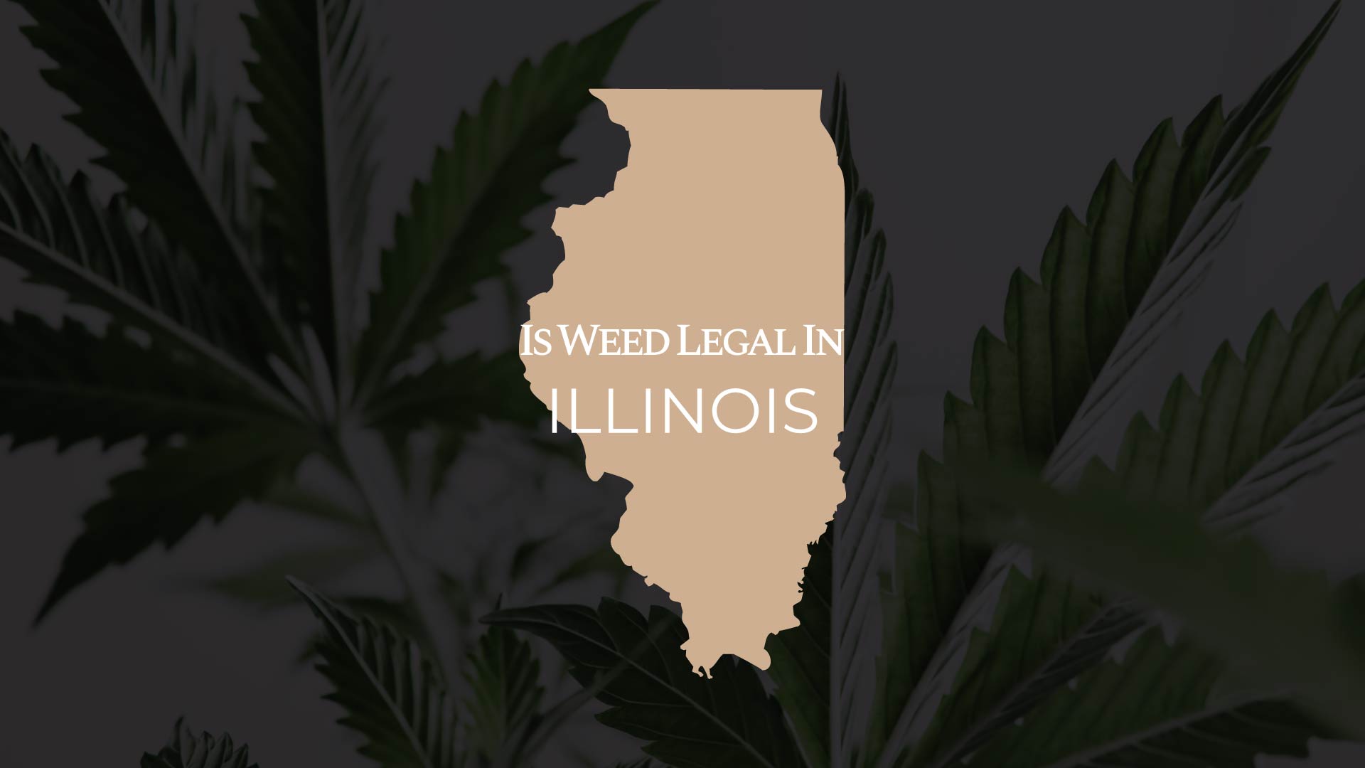 is-weed-legal-in-illinois-full-guide-iwli