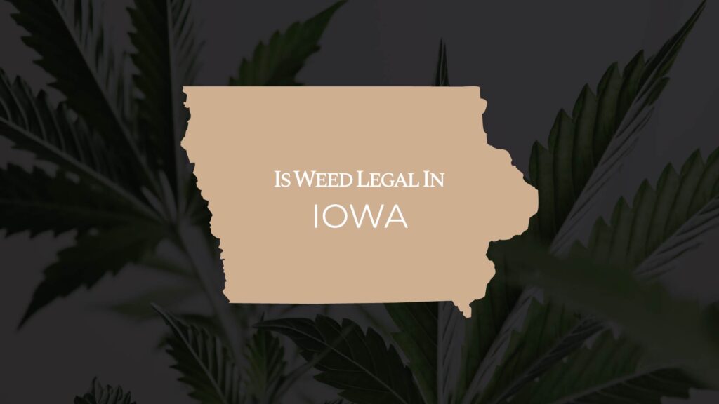 is weed legal in iowa