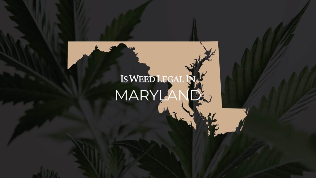 is weed legal in maryland