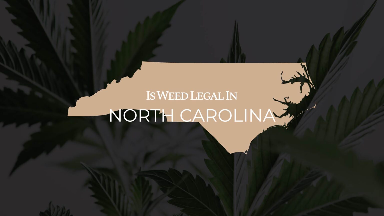 Is Weed Legal In North Carolina Full Guide IWLI   Is.weed .legal .in North Carolina 1536x864 