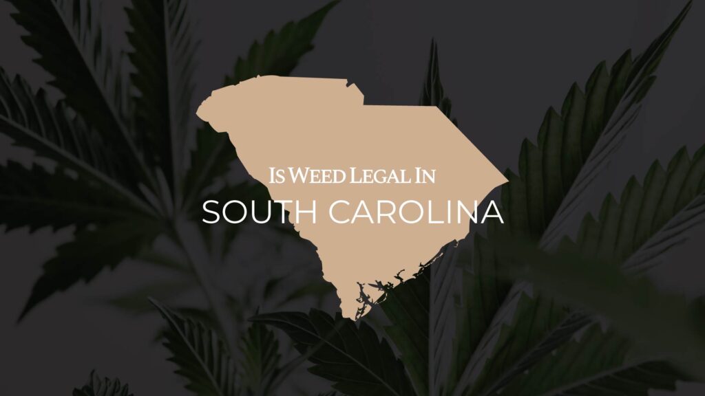 is weed legal in south carolina