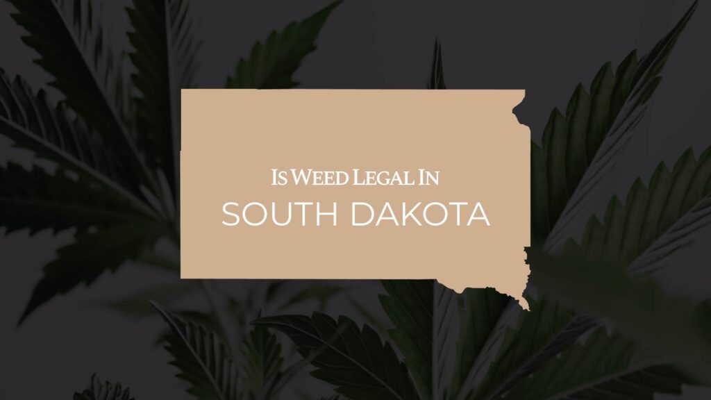 is weed legal in south dakota