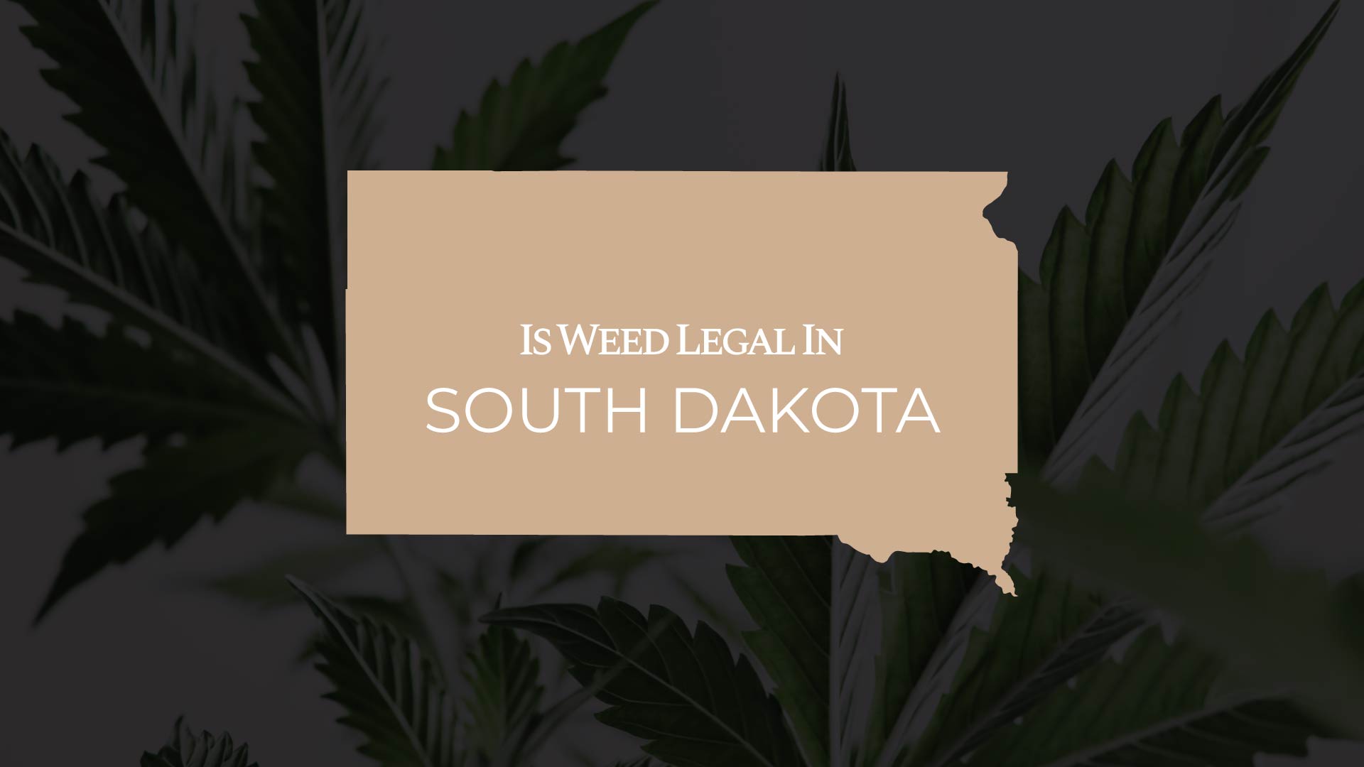 Is Weed Legal In South Dakota Full Guide IWLI