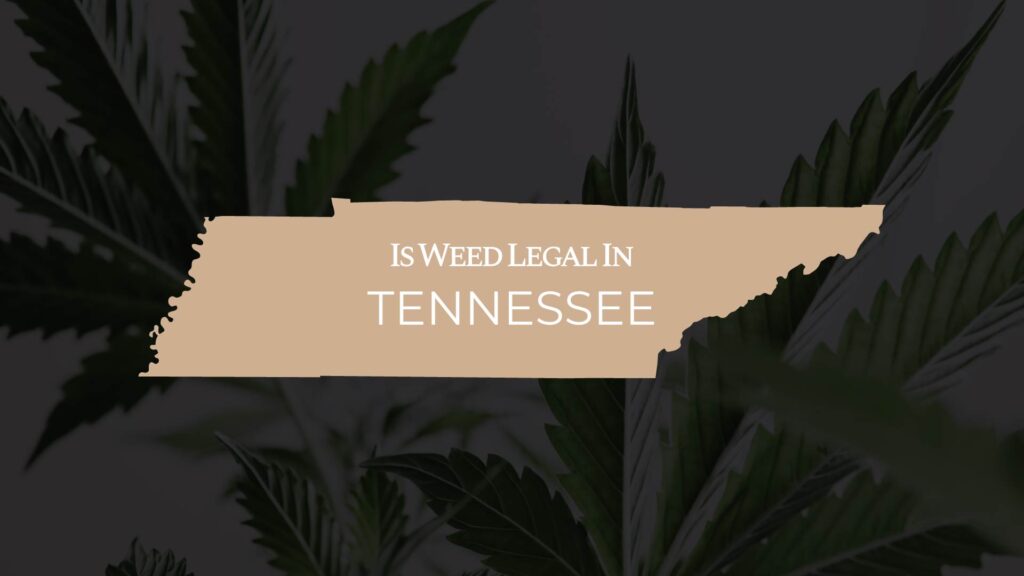 is weed legal in tennessee