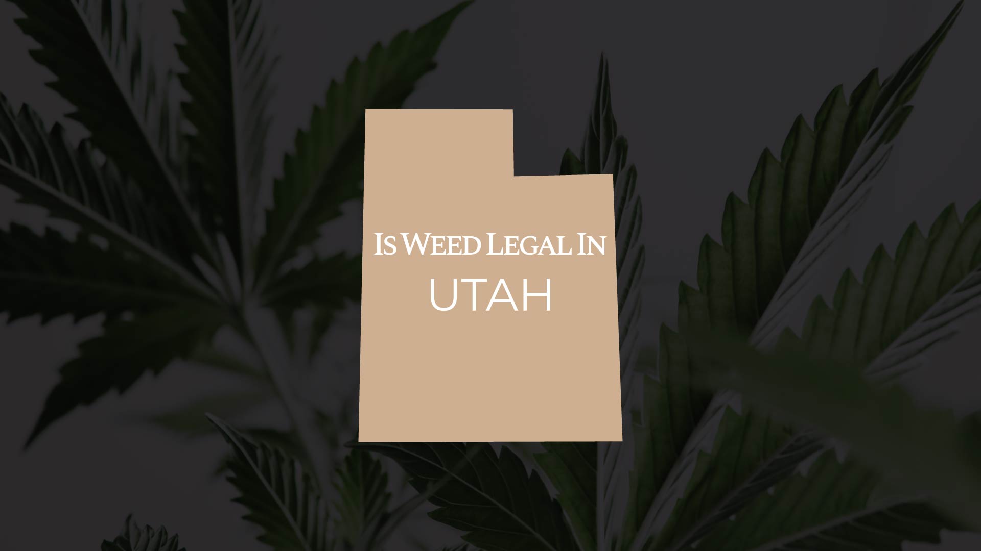 Meta title Is Weed Legal In Utah? Full Guide