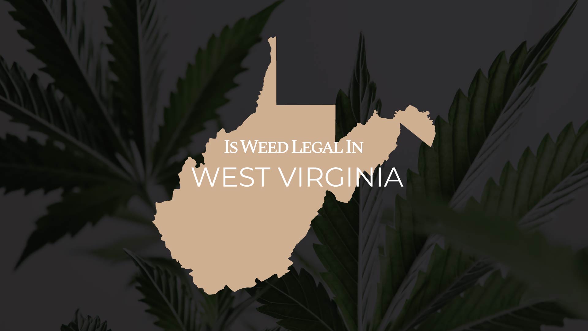 Is Weed Legal In West Virginia Full Guide IWLI
