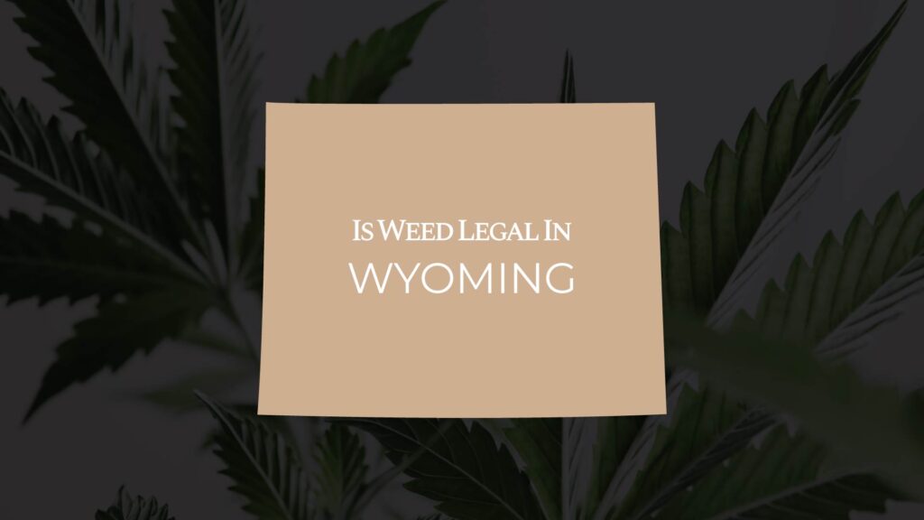 is weed legal in wyoming
